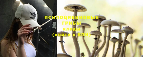 гашик Надым