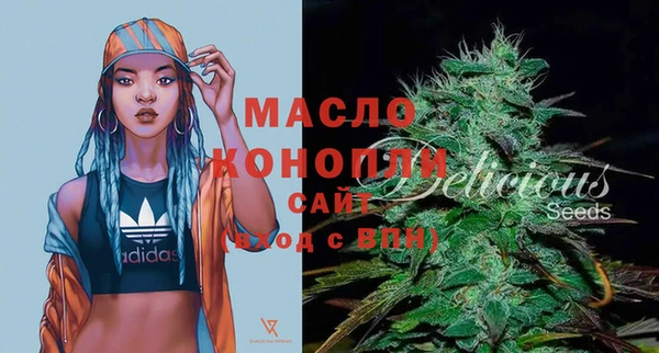гашик Надым