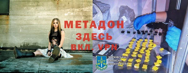 прущие грибы Нефтегорск