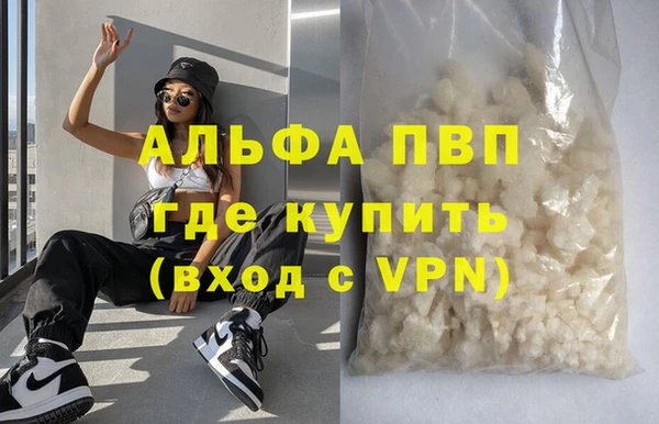прущие грибы Нефтегорск