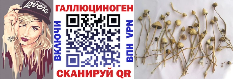 Галлюциногенные грибы ЛСД  Амурск 