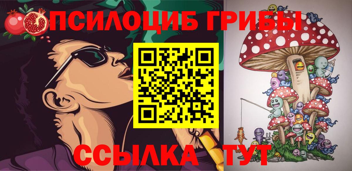 Галлюциногенные грибы MAGIC MUSHROOMS  Вход с VPN  как найти закладки  Амурск 