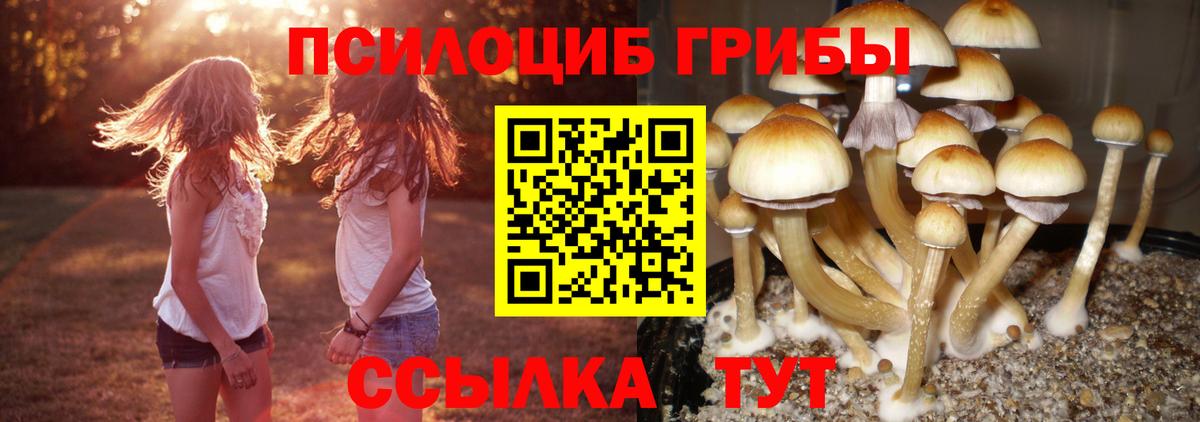 Галлюциногенные грибы Magic Shrooms  сколько стоит  Амурск 